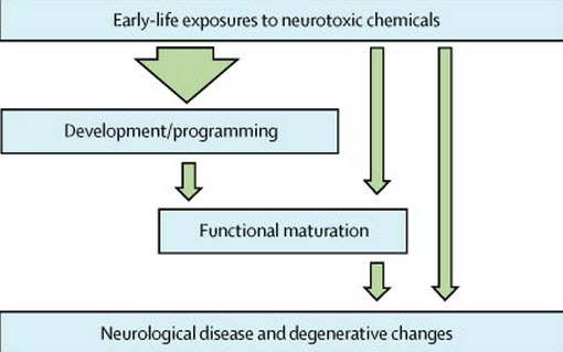 WhD1ieO The Global Silent Pandemic of Neurodevelopmental Toxicity