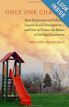 kkUcInI The Global Silent Pandemic of Neurodevelopmental Toxicity