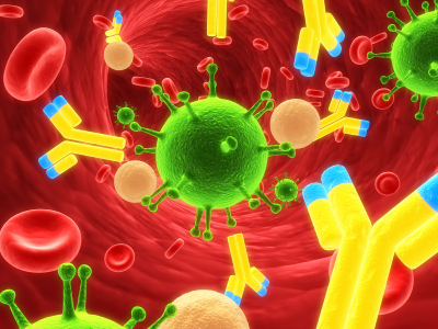 Antibodies