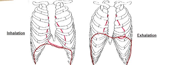 Diaphragm(1) 004 Ask Dr Soram  Breathing Walking, Standing and Sitting  An Interview with Guru Prem 