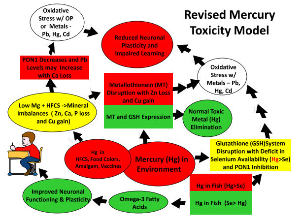 eSrN7T1 Autism Rising, More on Mercurys Role and Epigenetics