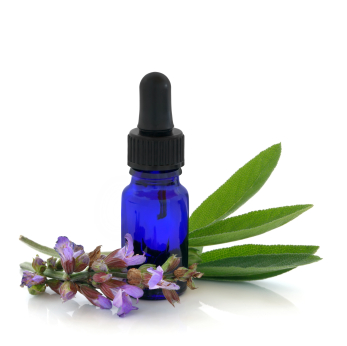iStock 000010393187XSmall Alternative Medicine is Becoming Mainstream